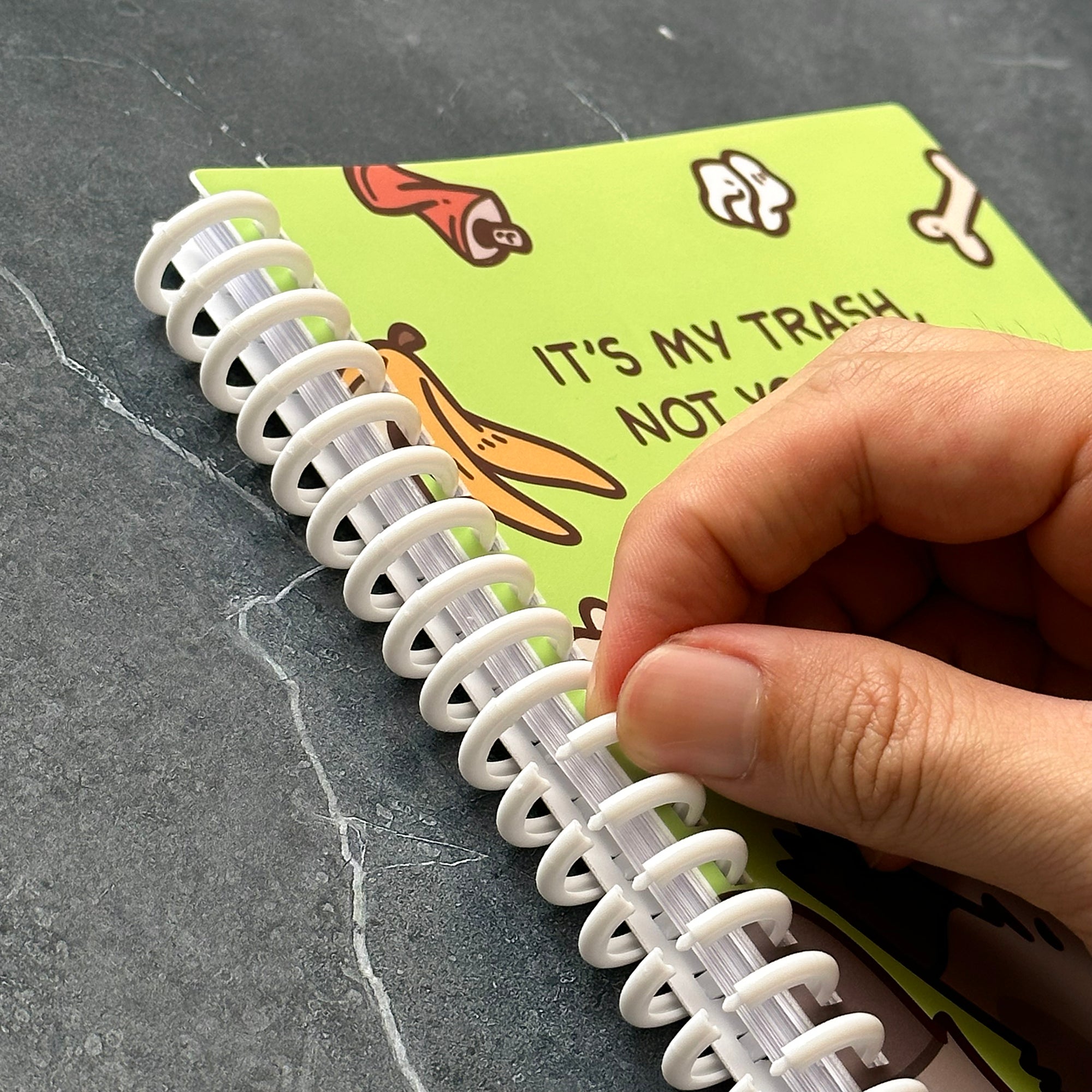 MD It's My Trash Not Yours Raccoon Reusable Sticker Book