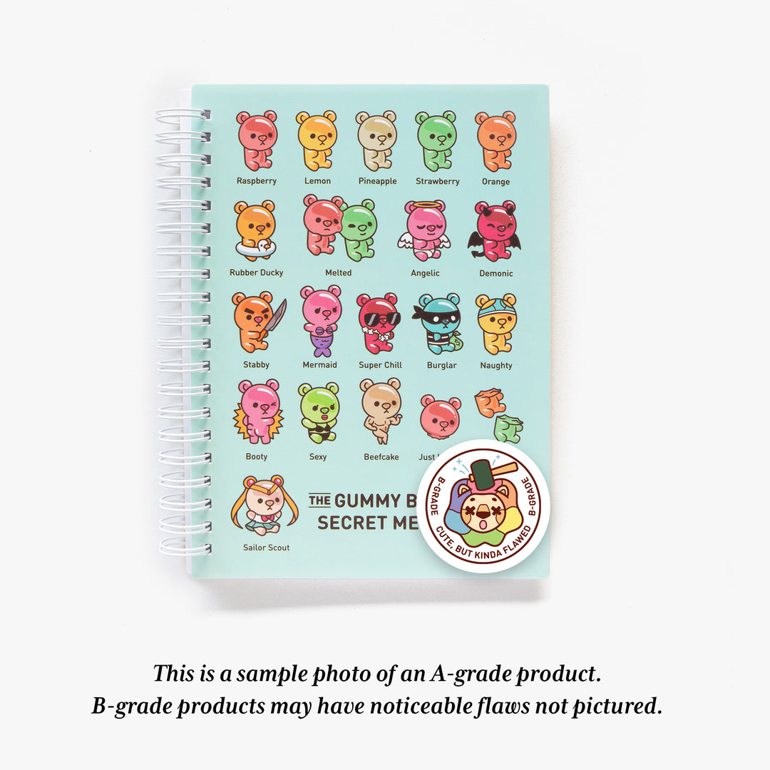 MD B-Grade Reusable Sticker Book