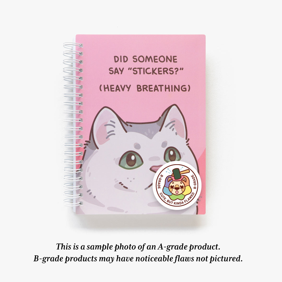 MD B-Grade Reusable Sticker Book