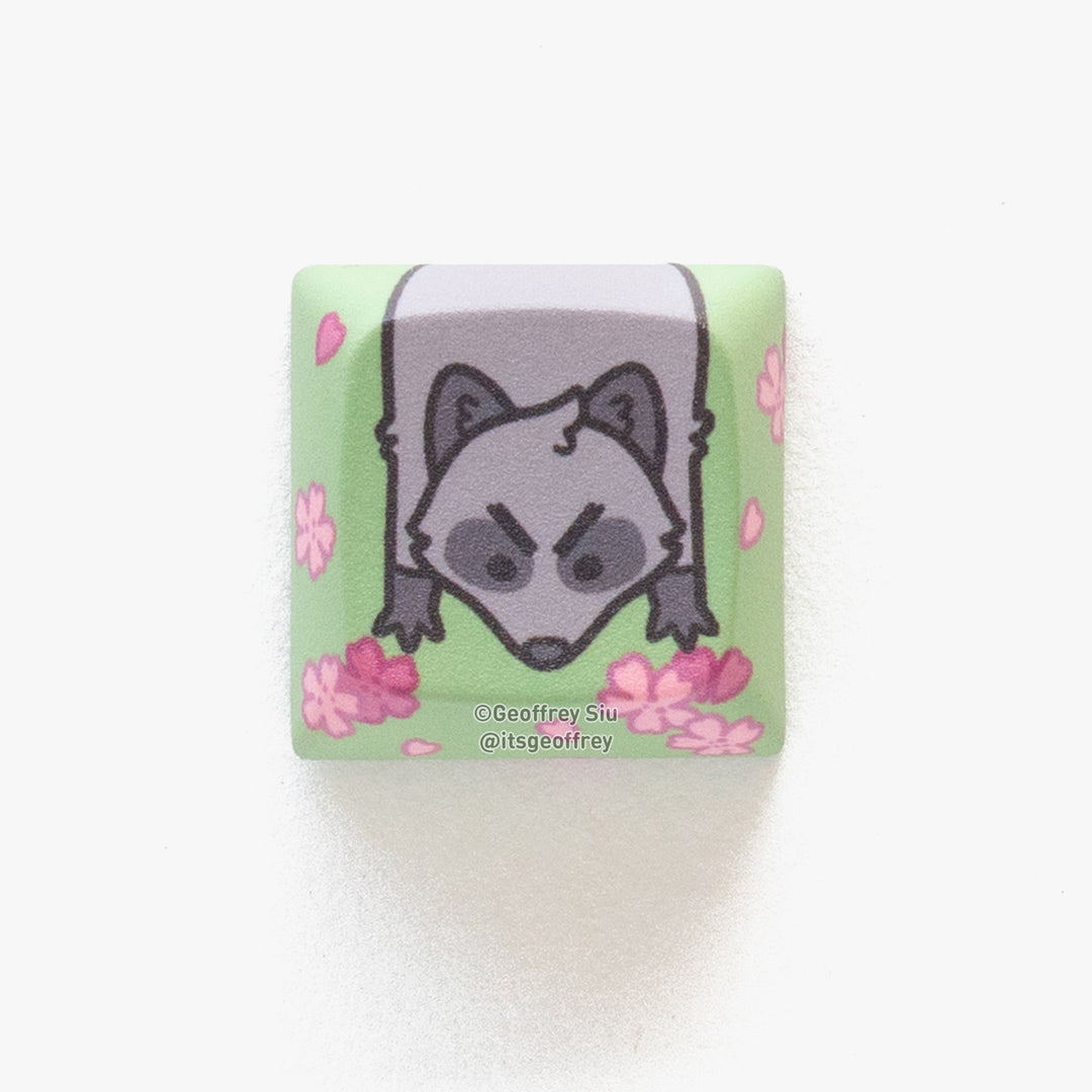 Individual Key Caps