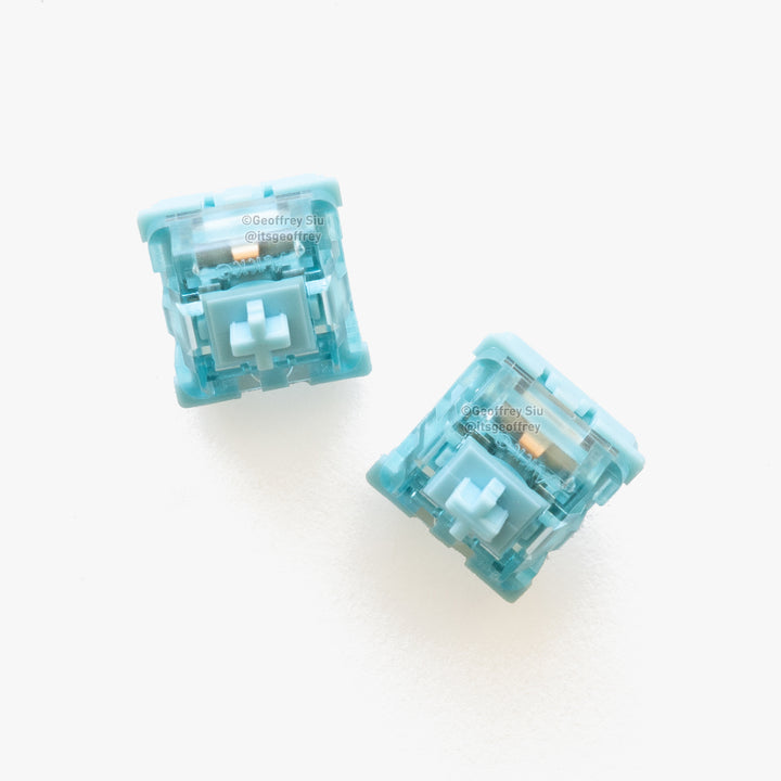 Tactile Switches (2pk)