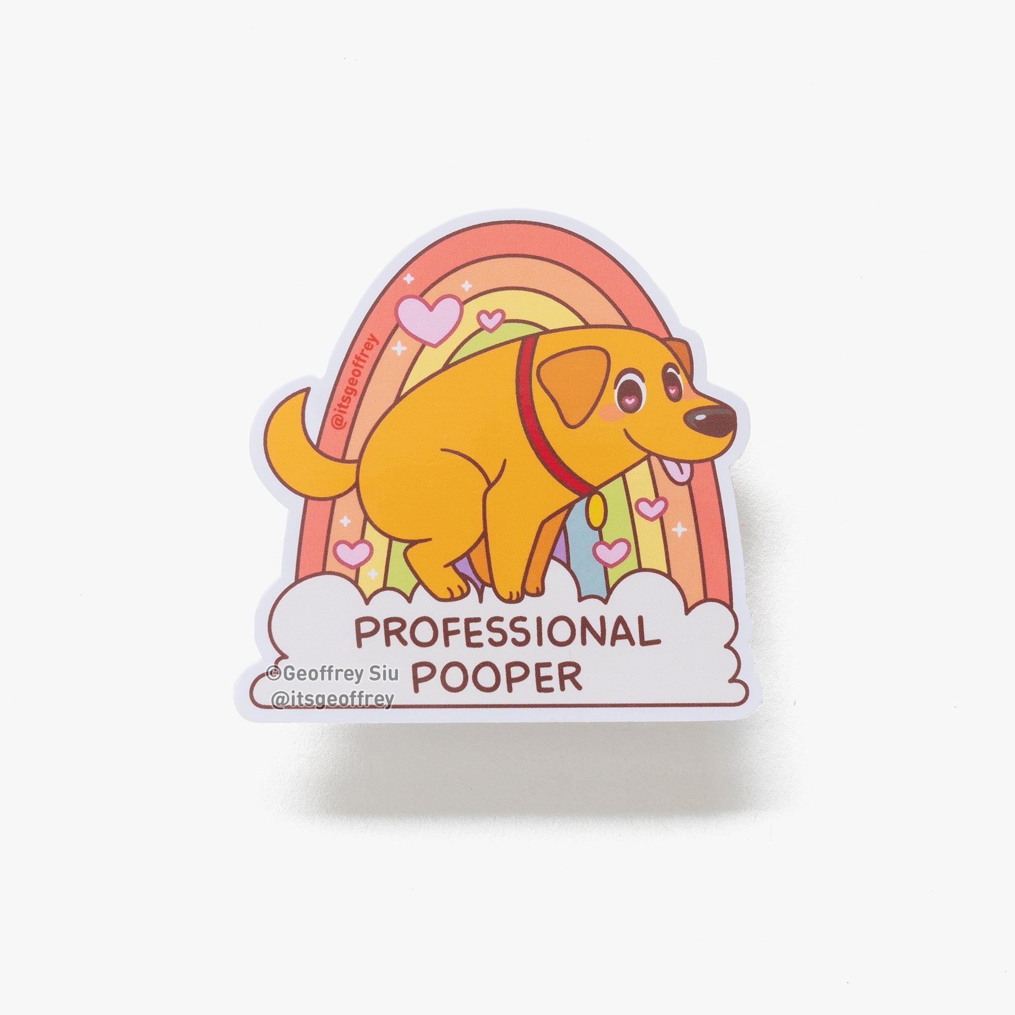Professional Pooper Sticker